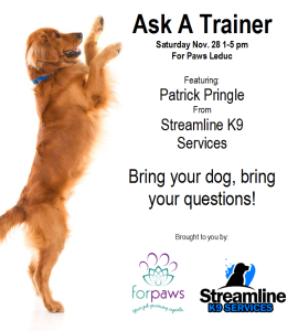 Ask a Trainer